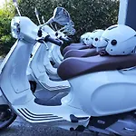 St George 瓦伦纳